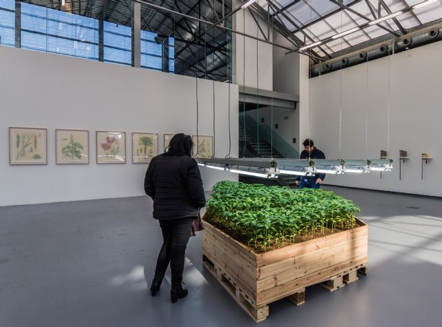 La Conservera ofrece una visita guiada a la exposición ´Gramáticas de la temporalidad´ junto a varios artistas participantes