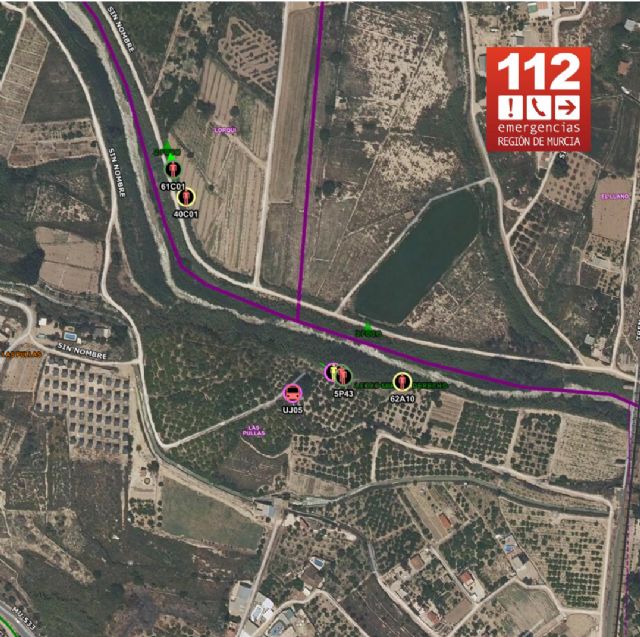 Incendio de vegetación en los márgenes del río Segura, entre Lorquí y Alguazas