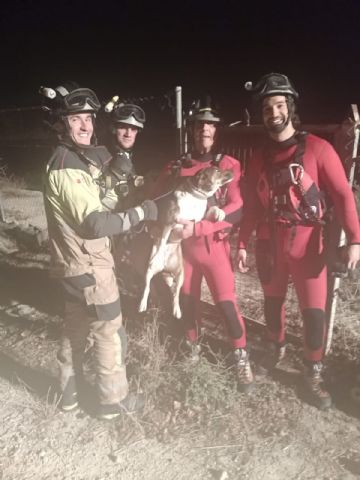 Servicios de emergencia rescatan a un animal que había caído en una balsa en Lorquí