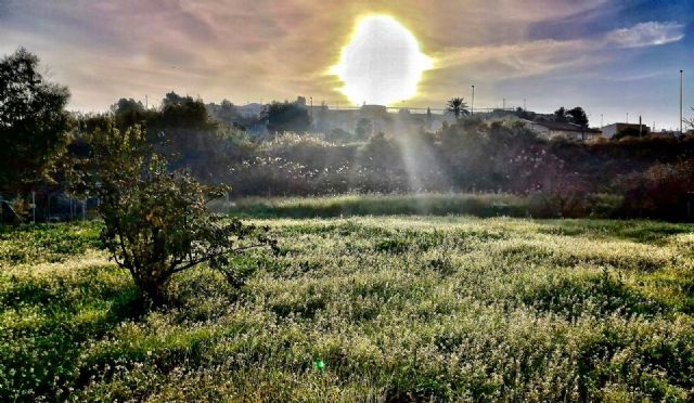 Lorquí participa en un proyecto europeo de adaptación al cambio climático para la rehabilitación de los cabezos del municipio