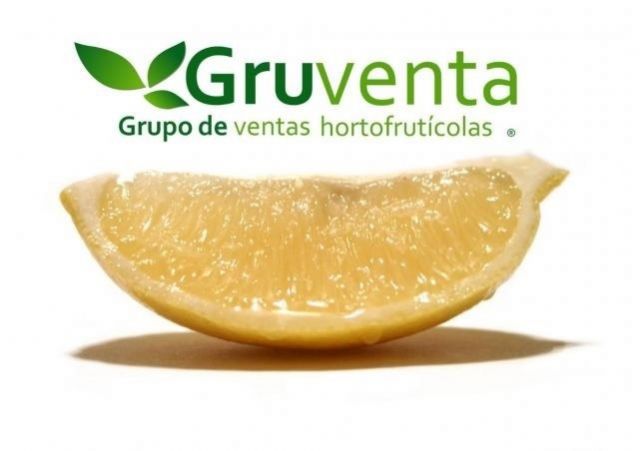 Gruventa subraya que los cítricos españoles tienen que avanzar en marketing on line