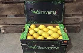 GRUVENTA prevé como “muy dinámica” la campaña de limón Verna